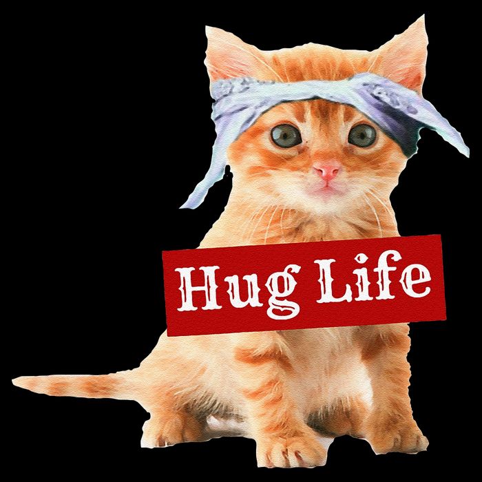 Hug Life Kitty Cat Thug Gansta Kitten Kitty Funny Gangster Sustainable Bucket Hat