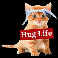 Hug Life Kitty Cat Thug Gansta Kitten Kitty Funny Gangster Visor