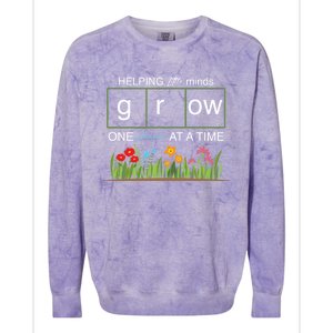 Helping Little Minds Grow Phoneme At A Time Science Coding Cute Gift Colorblast Crewneck Sweatshirt