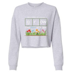 Helping Little Minds Grow Phoneme At A Time Science Coding Cute Gift Cropped Pullover Crew