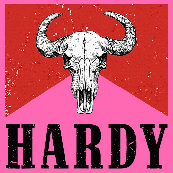 H.A.R.D.Y Last Name H.A.R.D.Y Family Western Style Stripe Pom Pom Beanie