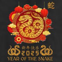 Happy Lunar New Year 2025 Year Of The Snake Zodiac Sign 11oz C Handle Ceramic Mug