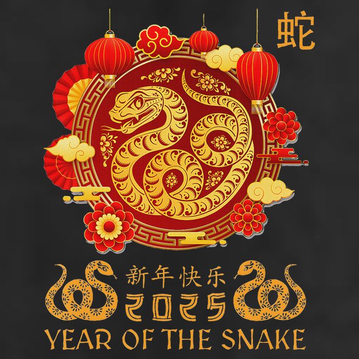 Happy Lunar New Year 2025 Year Of The Snake Zodiac Sign 11oz C Handle Ceramic Mug