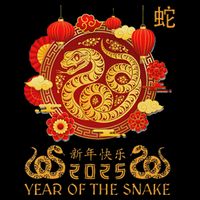 Happy Lunar New Year 2025 Year Of The Snake Zodiac Sign Premium T-Shirt