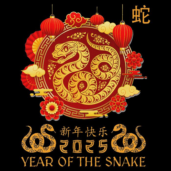 Happy Lunar New Year 2025 Year Of The Snake Zodiac Sign Premium T-Shirt