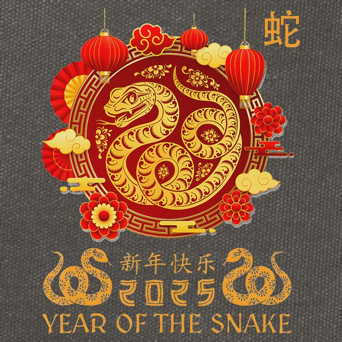 Happy Lunar New Year 2025 Year Of The Snake Zodiac Sign Cotton Canvas Backpack