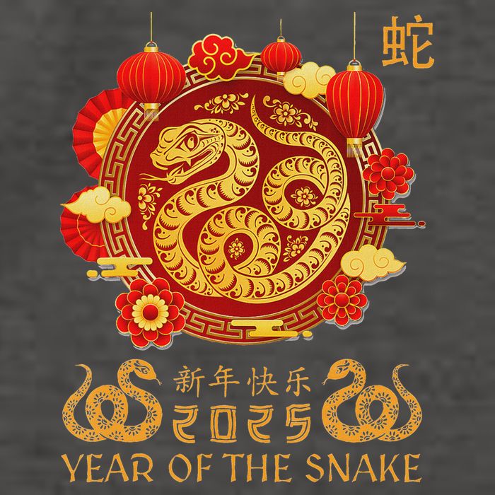Happy Lunar New Year 2025 Year Of The Snake Zodiac Sign Vector Backpack