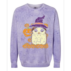 Halloween Leopard Owl Pumpkin Cute Bird Colorblast Crewneck Sweatshirt