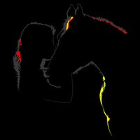 Horse Lover Outline Cute Gift Mug