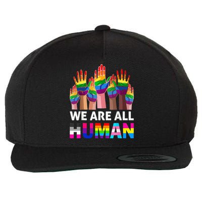 Human LGBT Pride Parade Plus Size Wool Snapback Cap