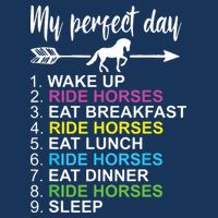 Horse Lover Shirts Horseback Riding Horse Lover Gift Premium T-Shirt