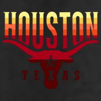 Houston Longhorn Sunset Logo 11oz C Handle Ceramic Mug
