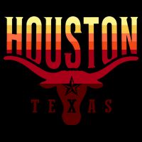 Houston Longhorn Sunset Logo Flatbill Hat