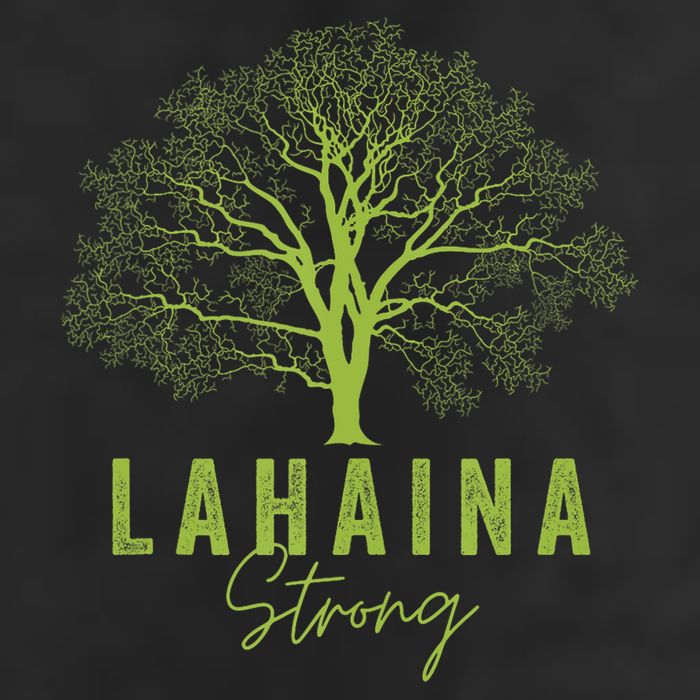 Hawaii Lahaina Strong Lahaina Supporter Beanie