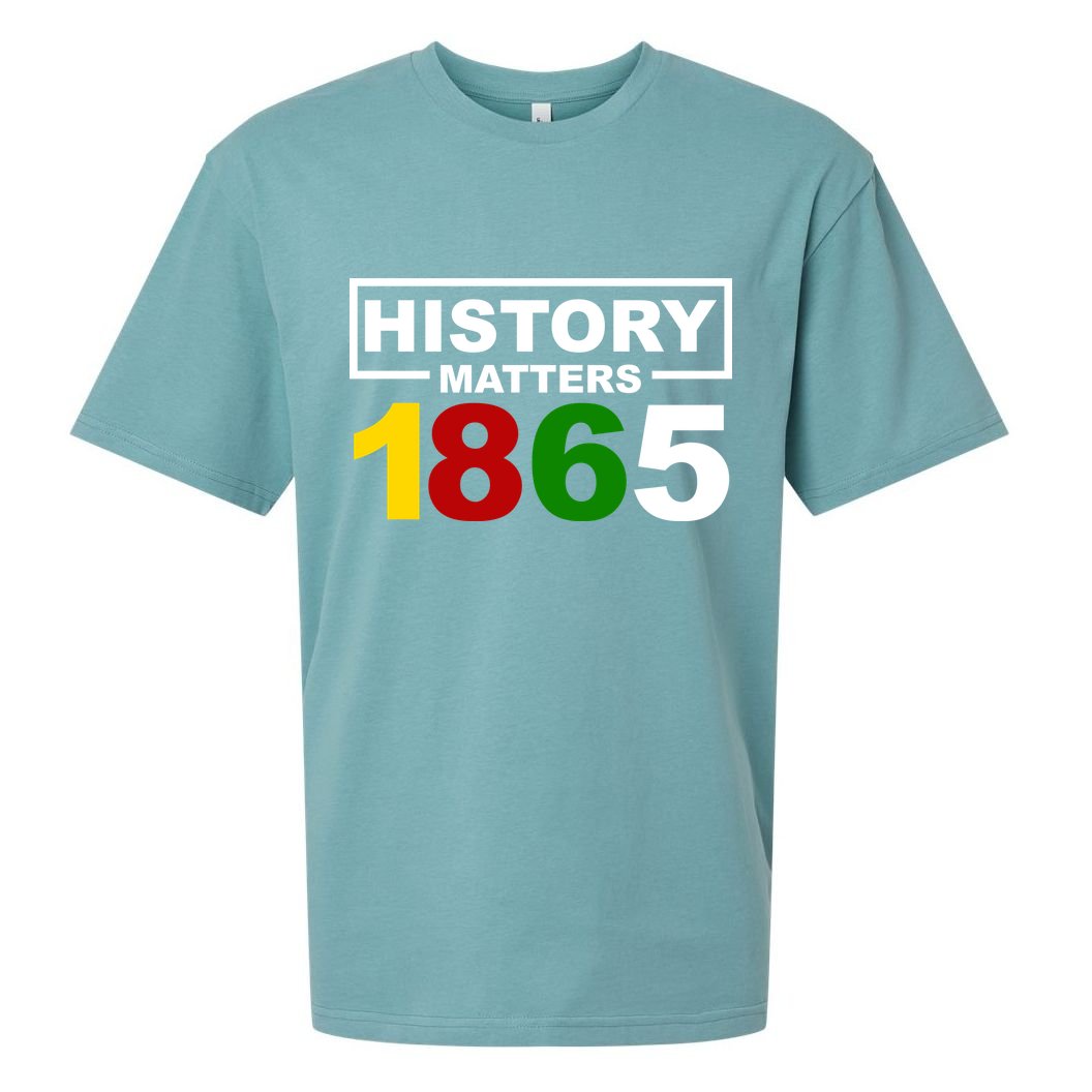 History Matters 1865 Black History Month Sueded Cloud Jersey T-Shirt