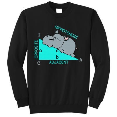 Hippo Math Analytical Funny Sarcasm Humor Teacher Sweatshirt