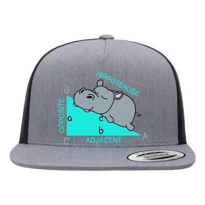 Hippo Math Analytical Funny Sarcasm Humor Teacher Flat Bill Trucker Hat