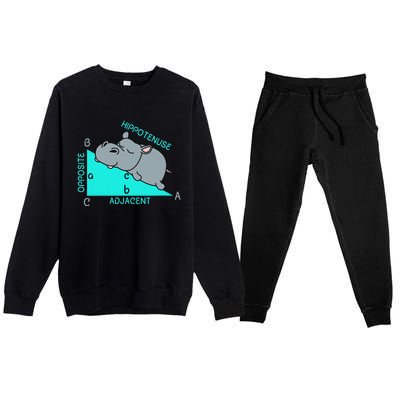 Hippo Math Analytical Funny Sarcasm Humor Teacher Premium Crewneck Sweatsuit Set