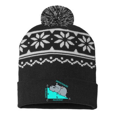 Hippo Math Analytical Funny Sarcasm Humor Teacher USA-Made Snowflake Beanie