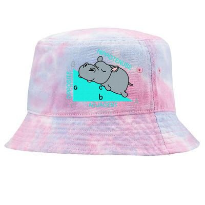 Hippo Math Analytical Funny Sarcasm Humor Teacher Tie-Dyed Bucket Hat