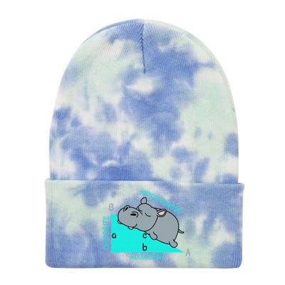 Hippo Math Analytical Funny Sarcasm Humor Teacher Tie Dye 12in Knit Beanie