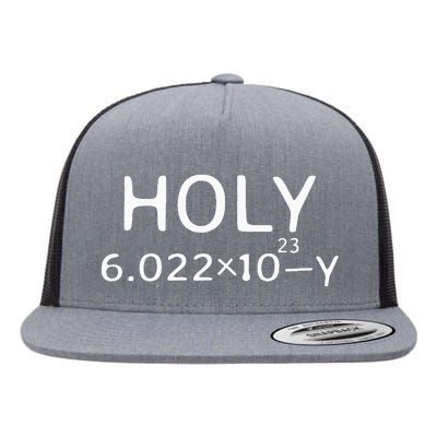 Holy Moley Avogadro Mole Carbon Funny Chemistry Flat Bill Trucker Hat