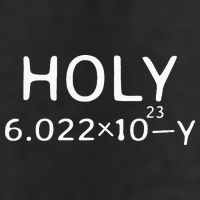 Holy Moley Avogadro Mole Carbon Funny Chemistry 7 Panel Mesh Trucker Snapback Hat