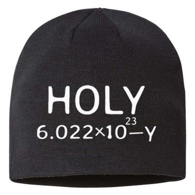 Holy Moley Avogadro Mole Carbon Funny Chemistry Sustainable Beanie