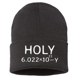 Holy Moley Avogadro Mole Carbon Funny Chemistry Sustainable Knit Beanie