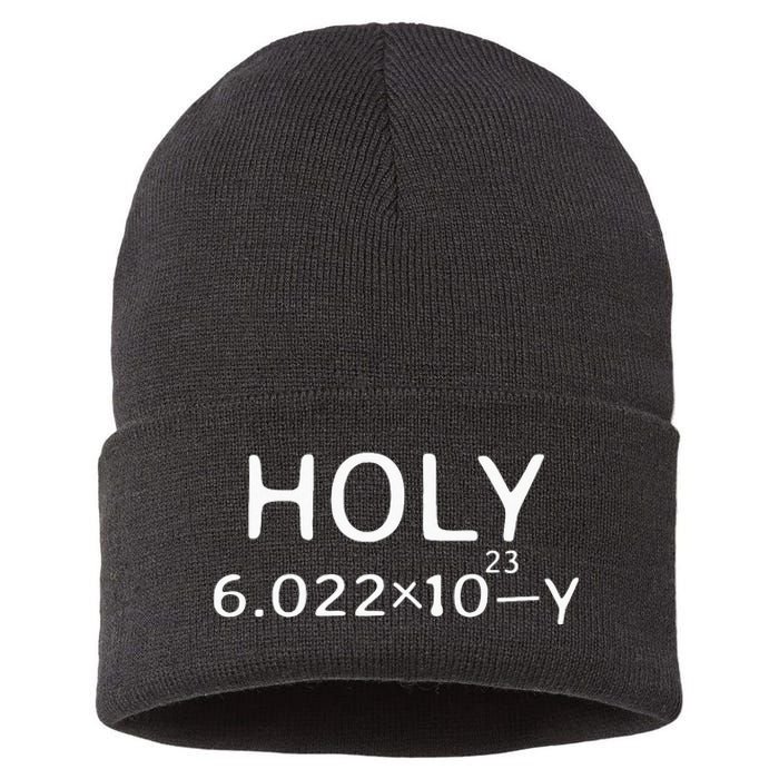 Holy Moley Avogadro Mole Carbon Funny Chemistry Sustainable Knit Beanie