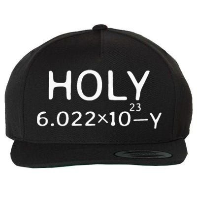 Holy Moley Avogadro Mole Carbon Funny Chemistry Wool Snapback Cap