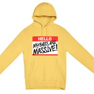 Hello My Balls Are Massive Funny Gift Idea Premium Pullover Hoodie