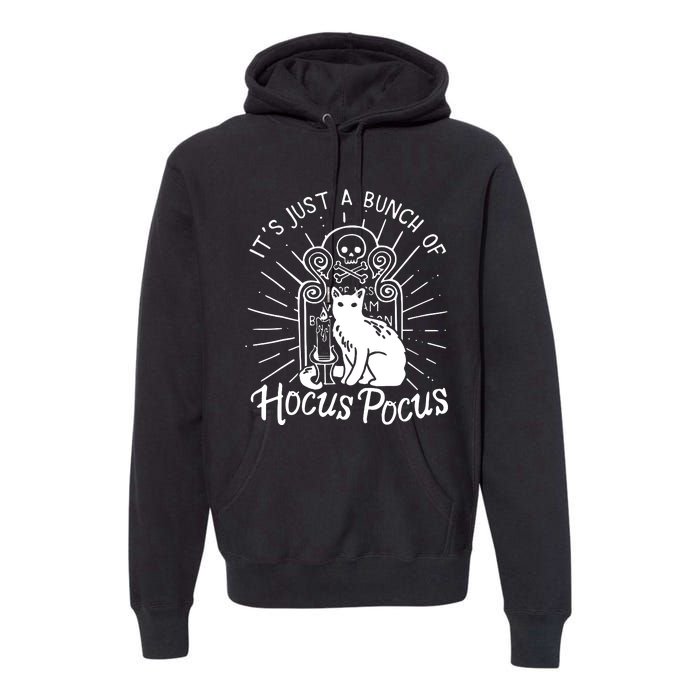 Halloween Movie Cat Witch Halloween Classic Premium Hoodie