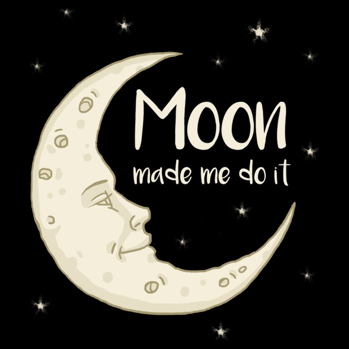 Half Moon Crescent Moon Funny Astronomy Moon Made Me Do It Gift Bucket Hat