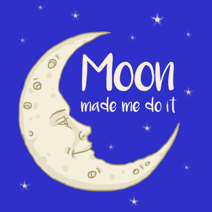 Half Moon Crescent Moon Funny Astronomy Moon Made Me Do It Gift Button