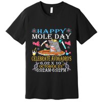 Happy Mole Day Celebrate AvogadroS Mole 6.02 X 10 October Premium T-Shirt