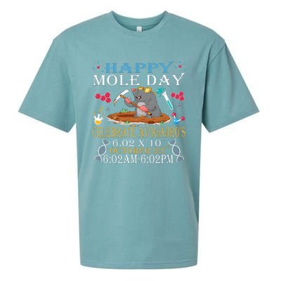 Happy Mole Day Celebrate Avogadro Sueded Cloud Jersey T-Shirt