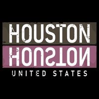Houston Mirrored Logo City Backpack