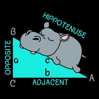 Hippotenuse Math Mathematics Teacher Joke fun Saying City Backpack