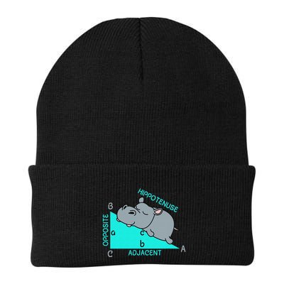 Hippotenuse Math Mathematics Teacher Joke fun Saying Beanie