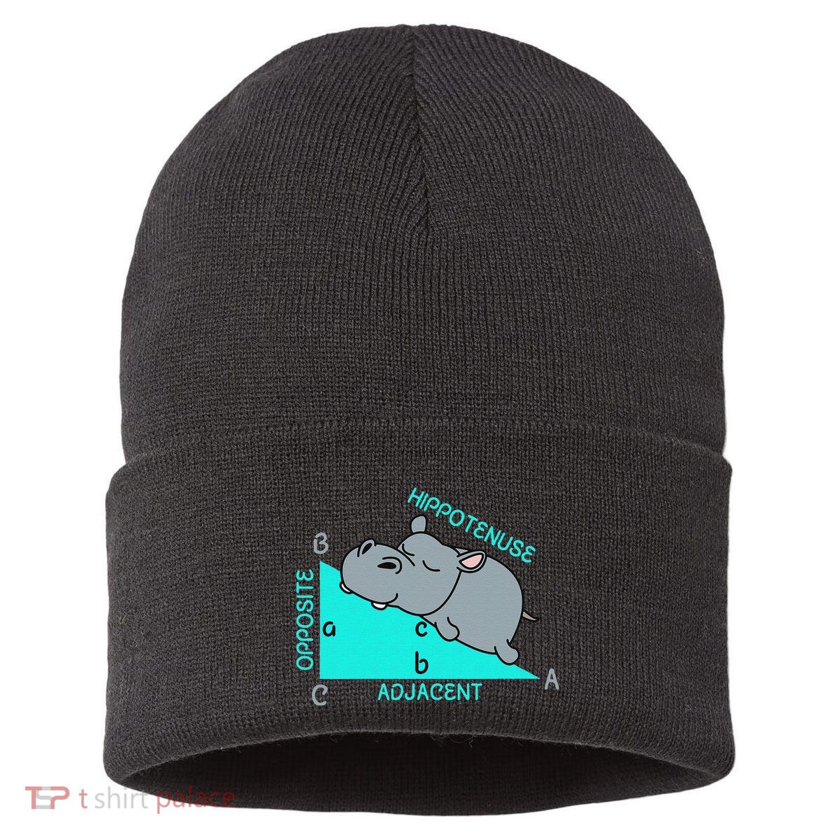 Hippotenuse Math Mathematics Teacher Joke fun Saying Sustainable Knit Beanie