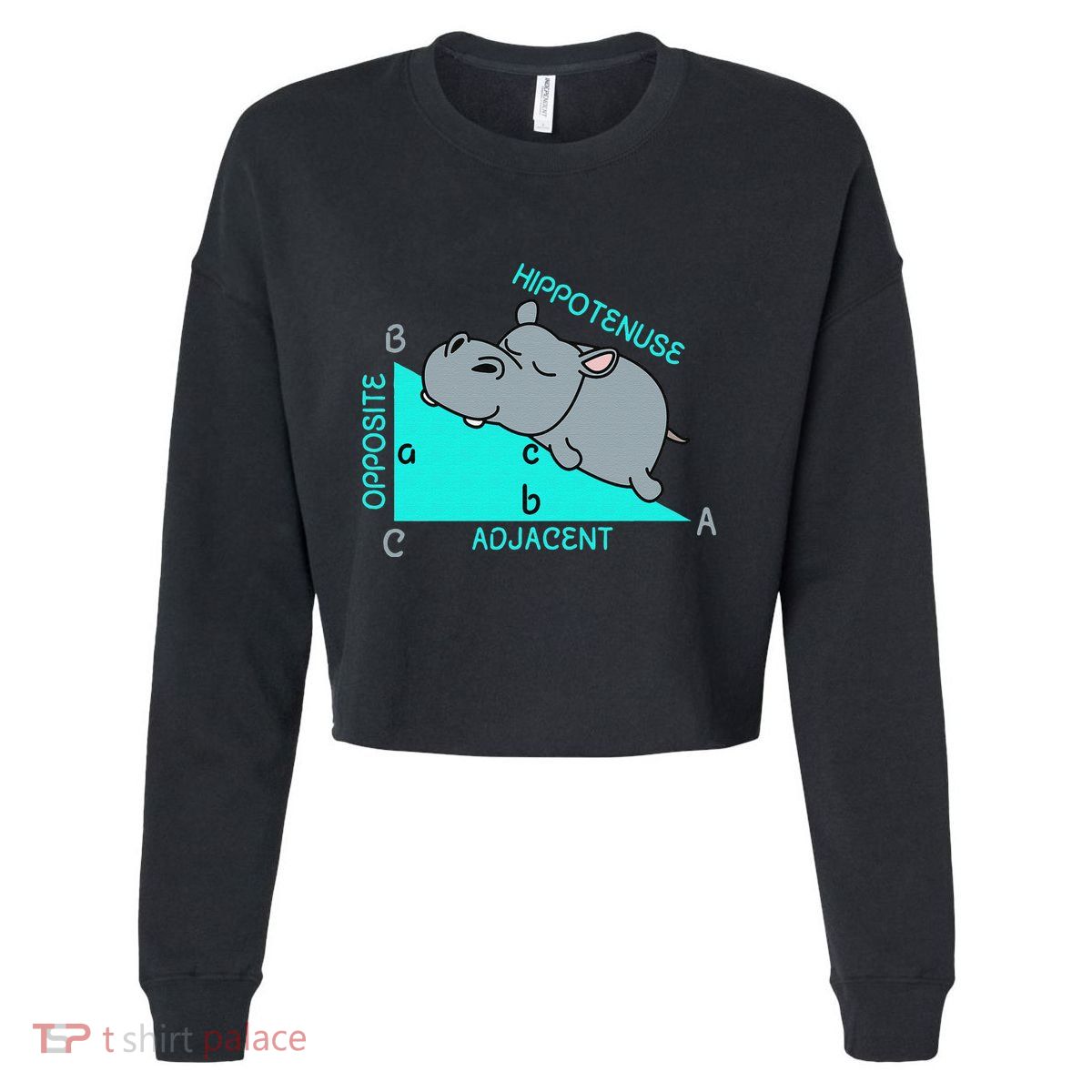 Hippotenuse Math Mathematics Teacher Joke fun Saying Cropped Pullover Crew
