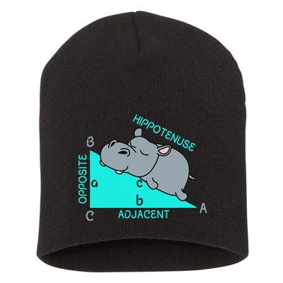 Hippotenuse Math Mathematics Teacher Joke fun Saying Short Acrylic Beanie