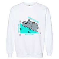 Hippotenuse Math Mathematics Teacher Joke fun Saying Garment-Dyed Sweatshirt