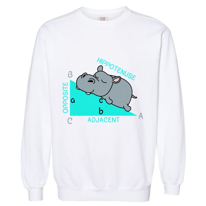 Hippotenuse Math Mathematics Teacher Joke fun Saying Garment-Dyed Sweatshirt