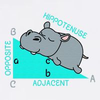 Hippotenuse Math Mathematics Teacher Joke fun Saying Garment-Dyed Sweatshirt