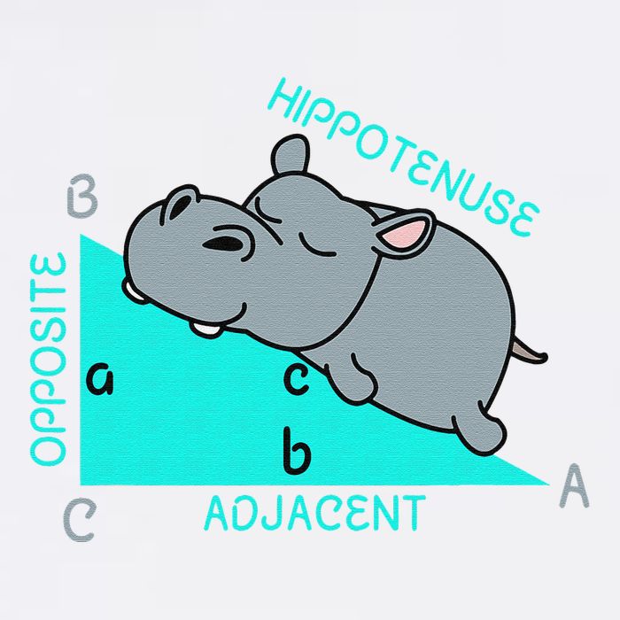 Hippotenuse Math Mathematics Teacher Joke fun Saying Garment-Dyed Sweatshirt