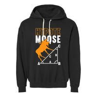 Hyotemoose Mathematician Math Teacher Garment-Dyed Fleece Hoodie