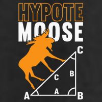 Hyotemoose Mathematician Math Teacher Garment-Dyed Fleece Hoodie