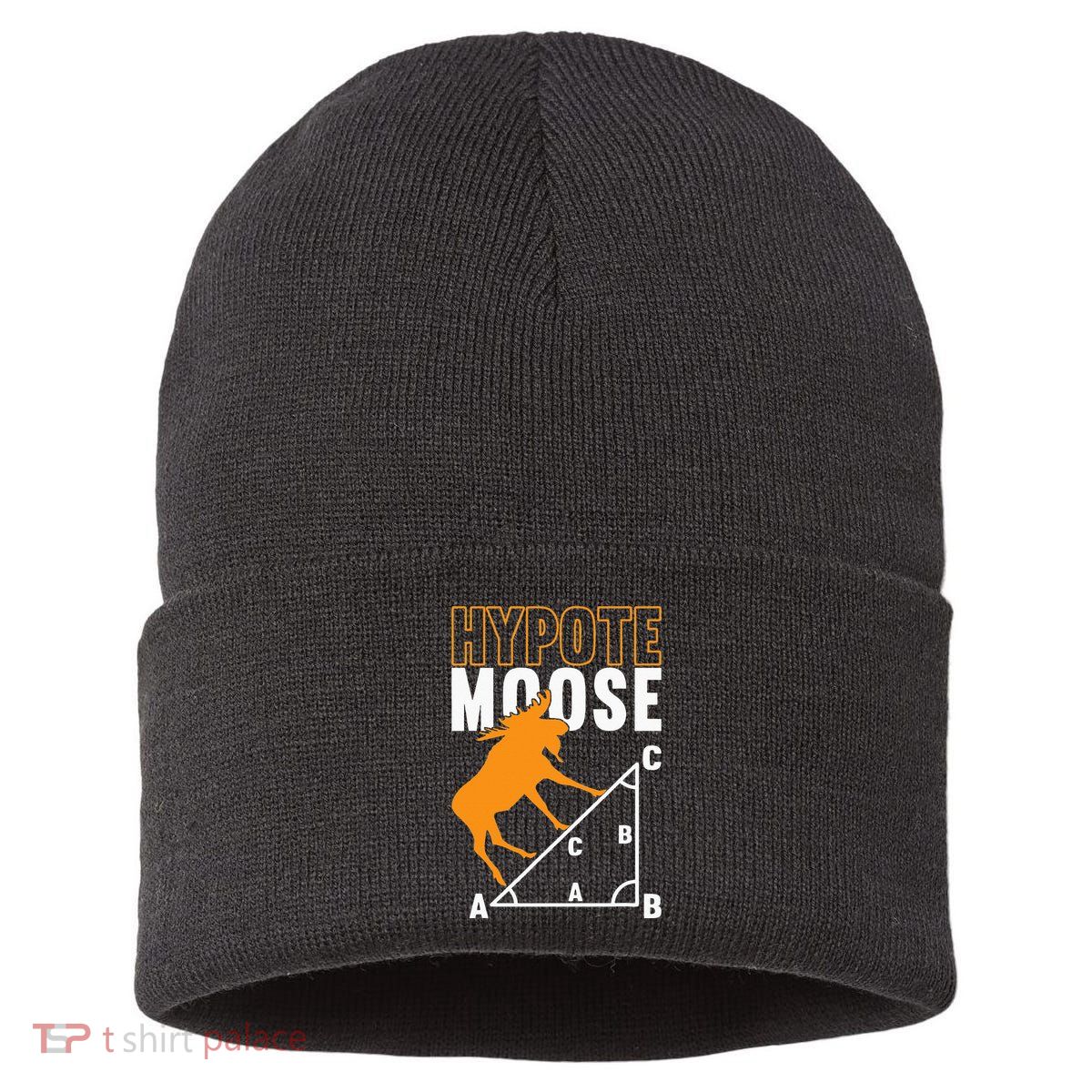 Hyotemoose Mathematician Math Teacher Sustainable Knit Beanie